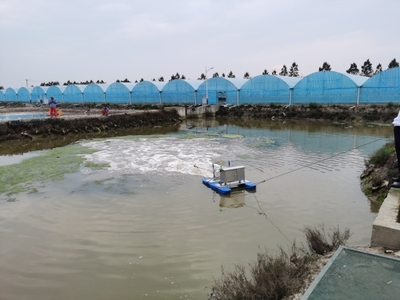 加快推進(jìn)海水養(yǎng)殖尾水治理示范點(diǎn)應(yīng)用建設(shè)，助力海洋漁業(yè)綠色發(fā)展